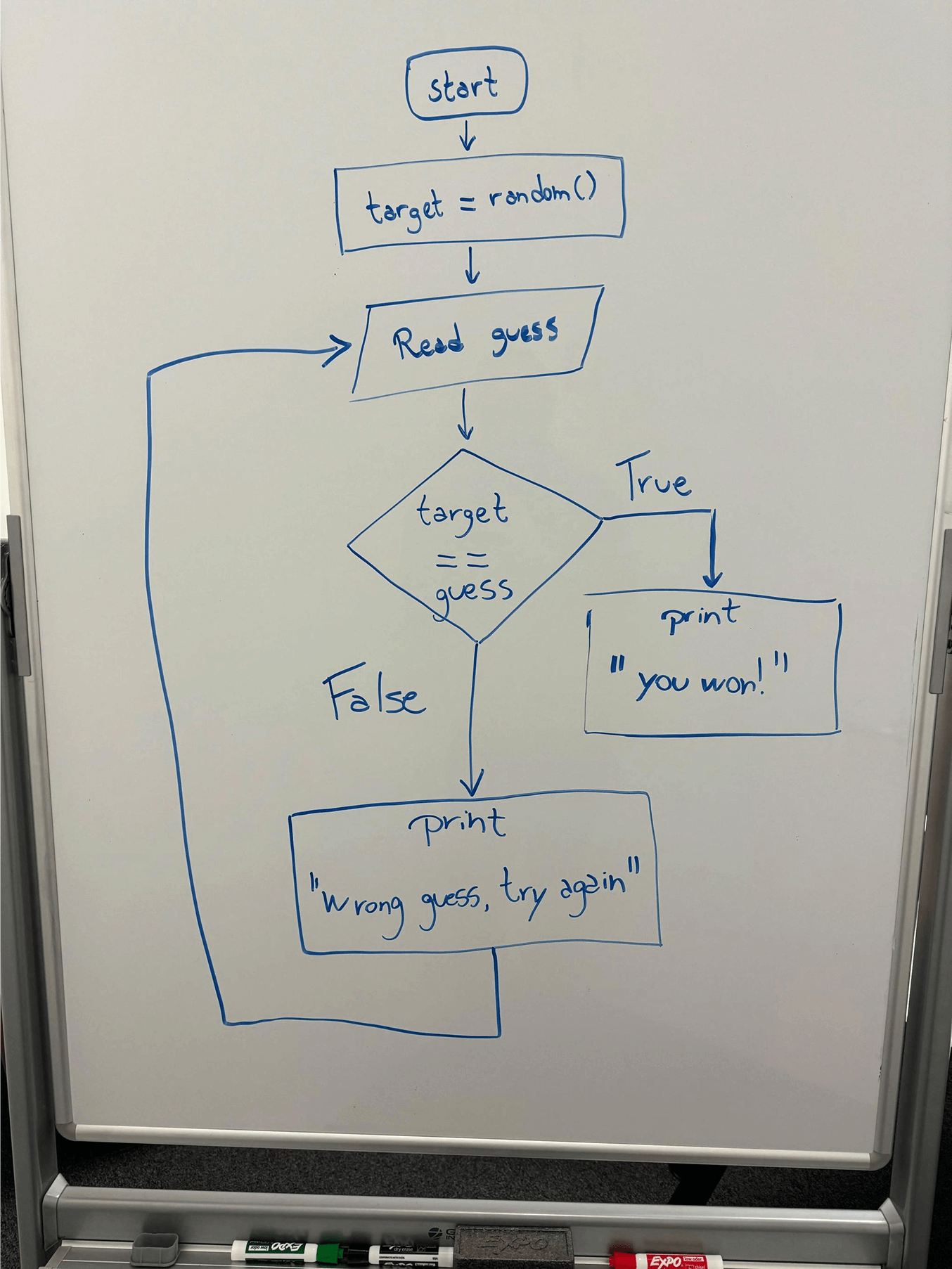Flowchart on whiteboard depicting a guessing game logic with steps: start, target equals random, read guess, check if target equals guess, print 'you won!' if true, else print 'wrong guess, try again' and retry.